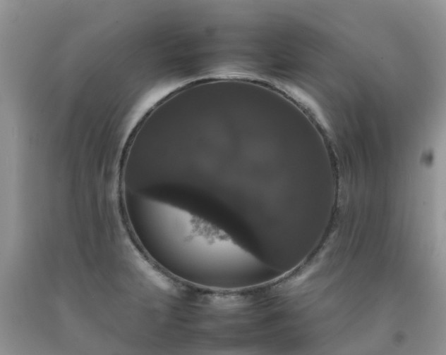 X0000092061231200709191134