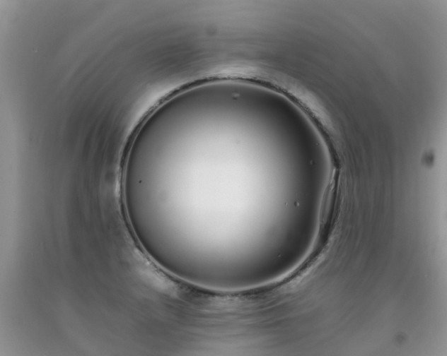 X0000092061232200709191134