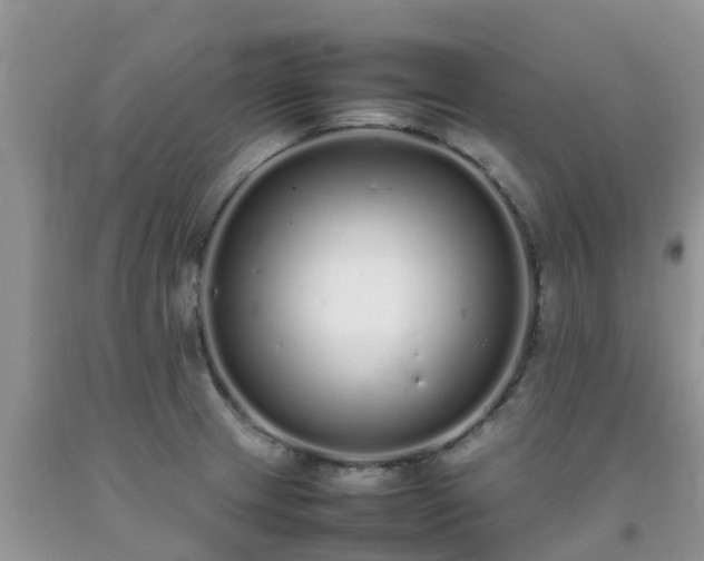 X0000092061233200709191134