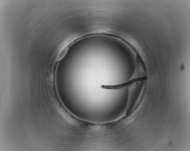 X0000092061234200709191134