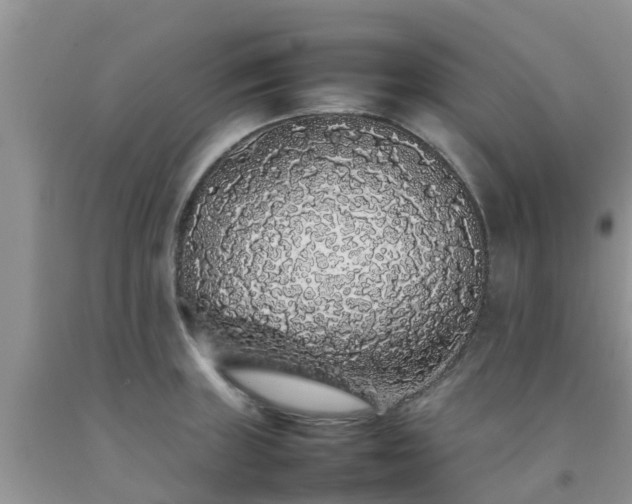 X0000092061235200709191134