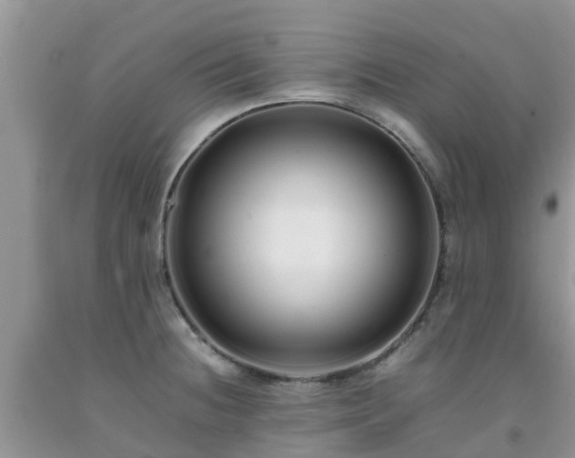 X0000092061236200709191134