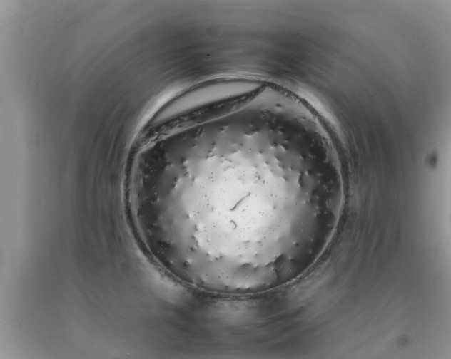 X0000092061237200709191134