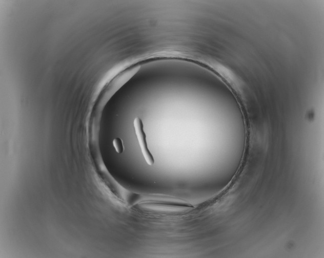 X0000092061238200709191134