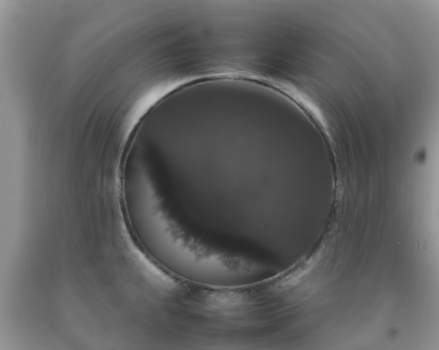 X0000092061239200709191134