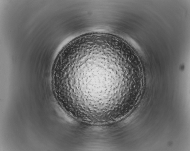 X0000092061240200709191134