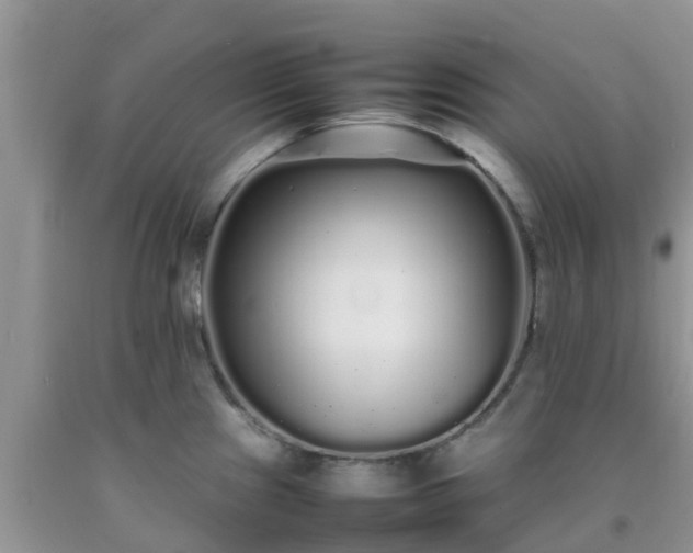 X0000092061241200709191134