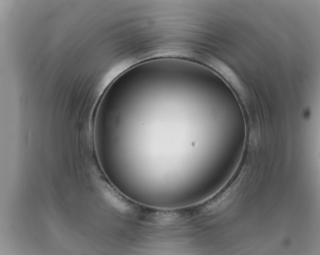 X0000092061242200709191135