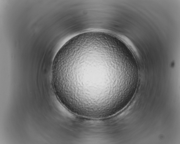 X0000092061244200709191135