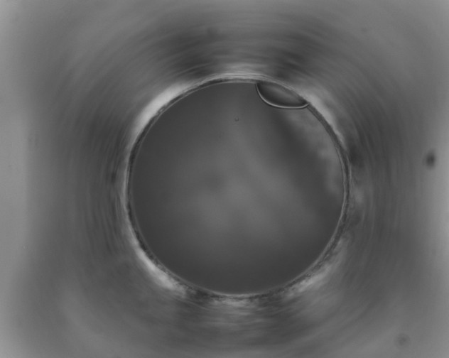 X0000092061245200709191135