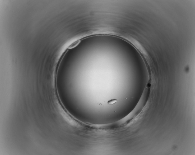 X0000092061246200709191135