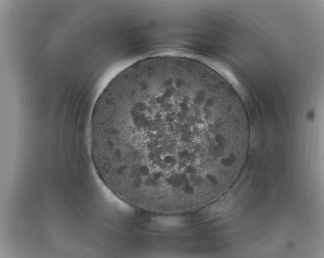 X0000092061247200709191135