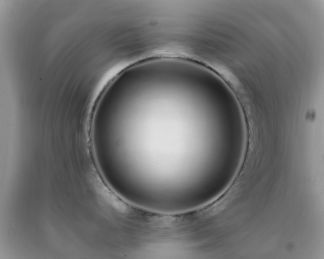 X0000092061248200709191135