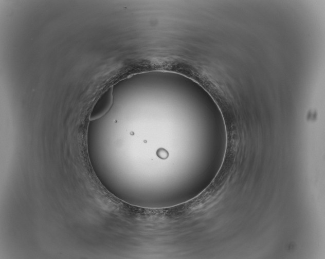 X0000092061249200709191134