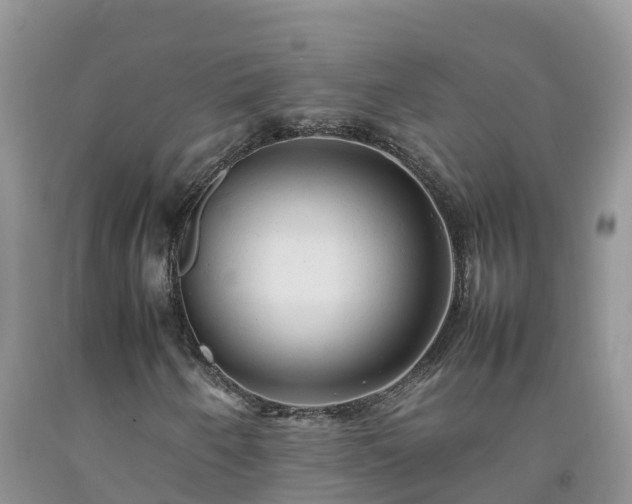 X0000092061250200709191134