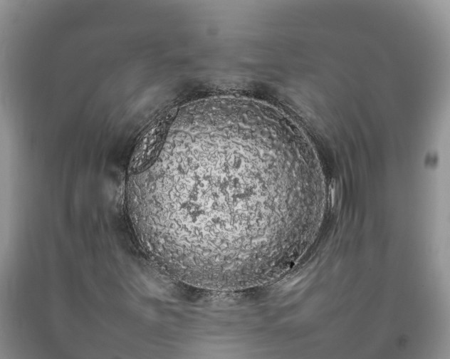 X0000092061251200709191134