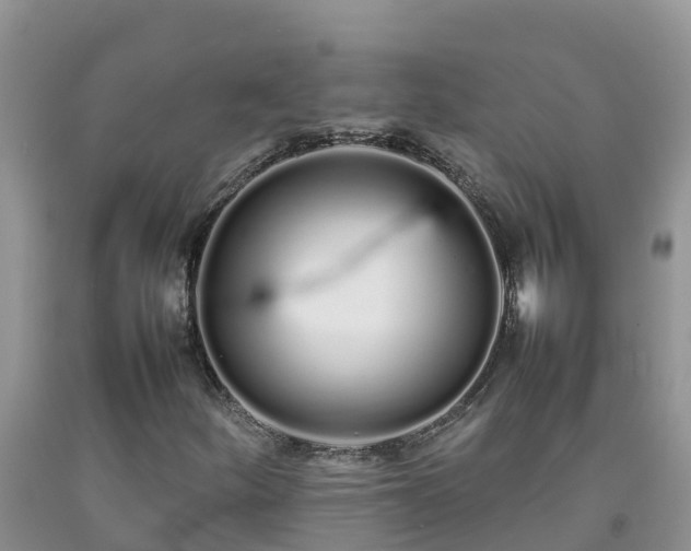 X0000092061252200709191134