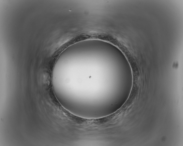 X0000092061253200709191134