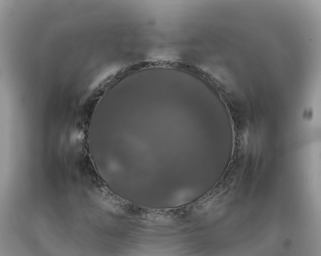 X0000092061254200709191134