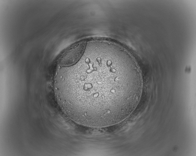 X0000092061255200709191134