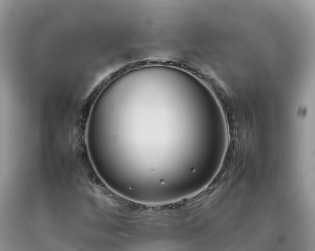 X0000092061256200709191134