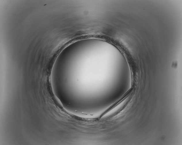 X0000092061257200709191134