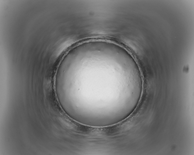 X0000092061259200709191134