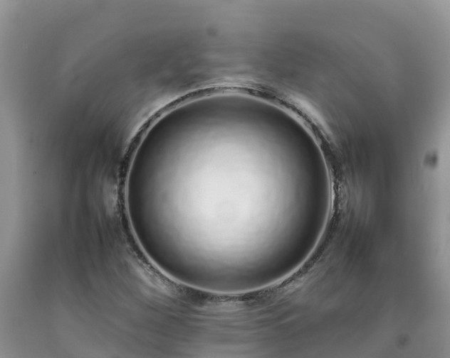 X0000092061260200709191134