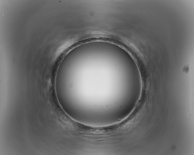 X0000092061261200709191134