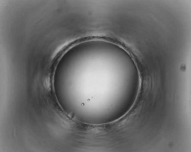 X0000092061262200709191134