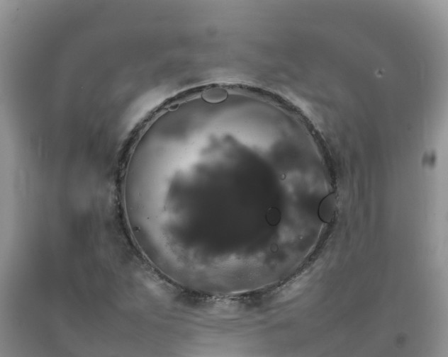 X0000092061263200709191134