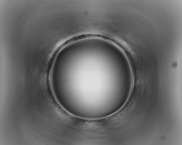 X0000092061264200709191134