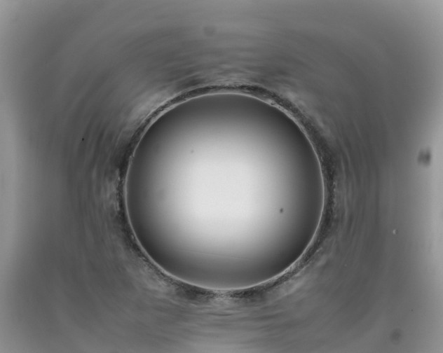 X0000092061265200709191134