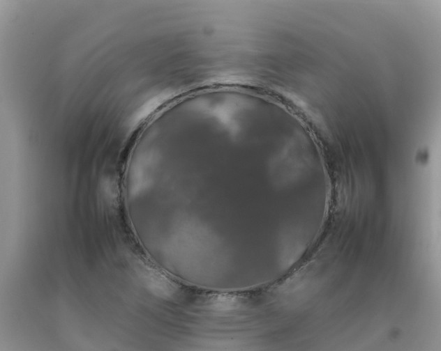 X0000092061266200709191134