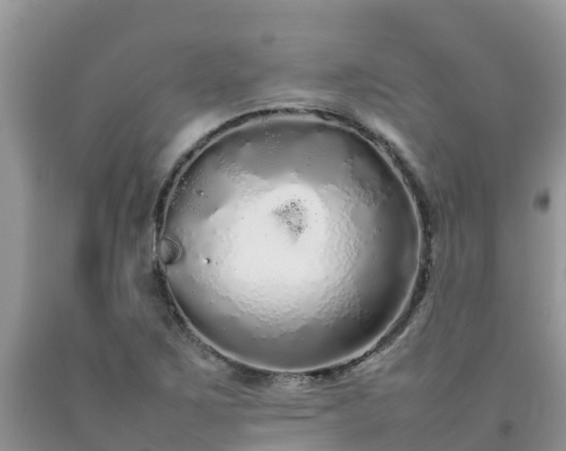 X0000092061267200709191134