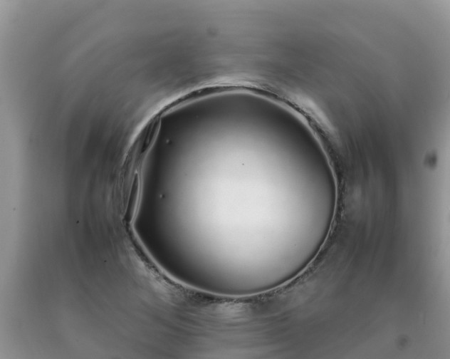 X0000092061268200709191134