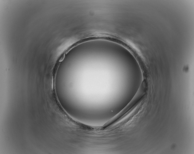 X0000092061269200709191134