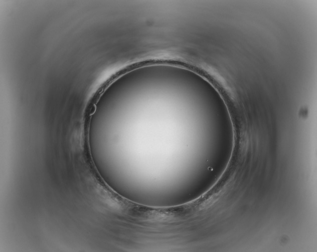 X0000092061270200709191134