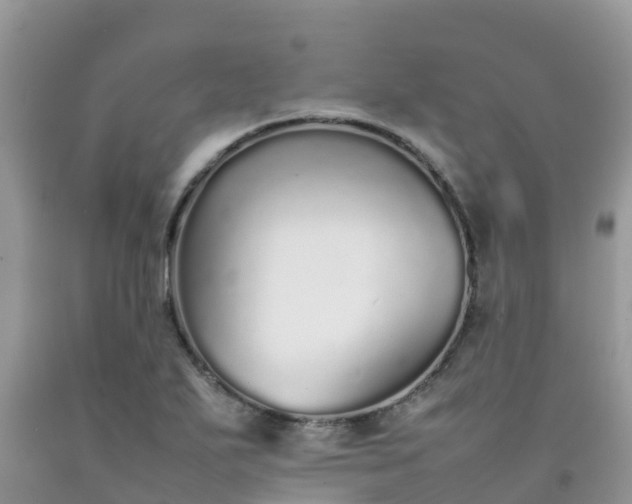 X0000092061271200709191134