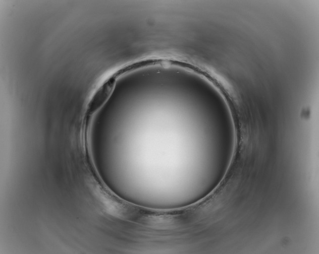 X0000092061272200709191134