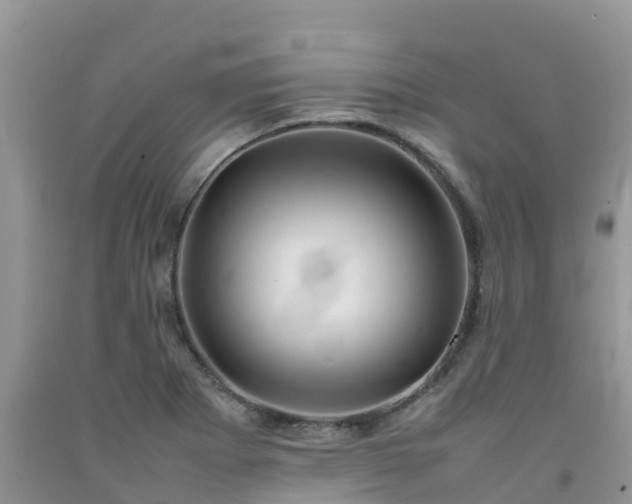 X0000092061273200709191134