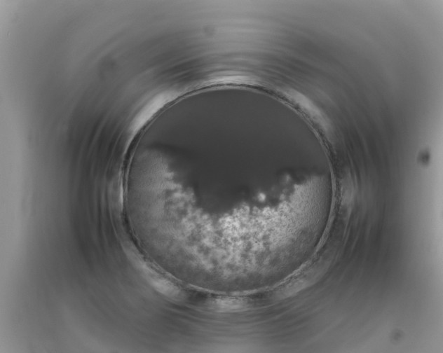 X0000092061274200709191134