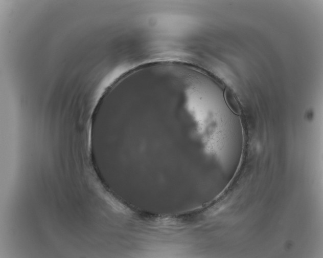 X0000092061275200709191134