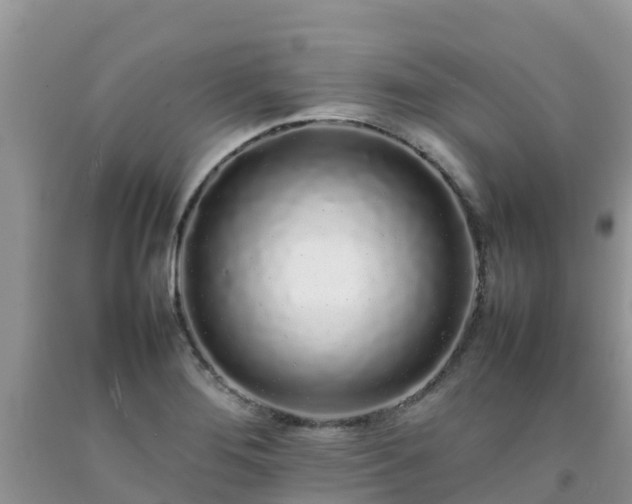 X0000092061276200709191134