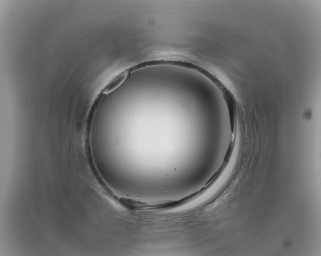 X0000092061277200709191134