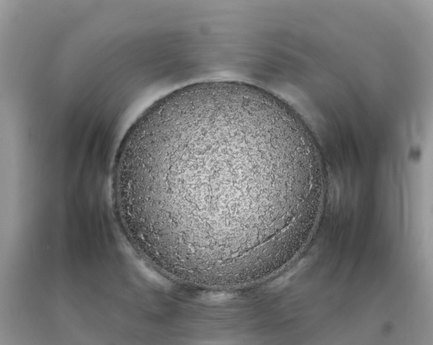 X0000092061278200709191134