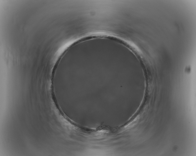 X0000092061279200709191134