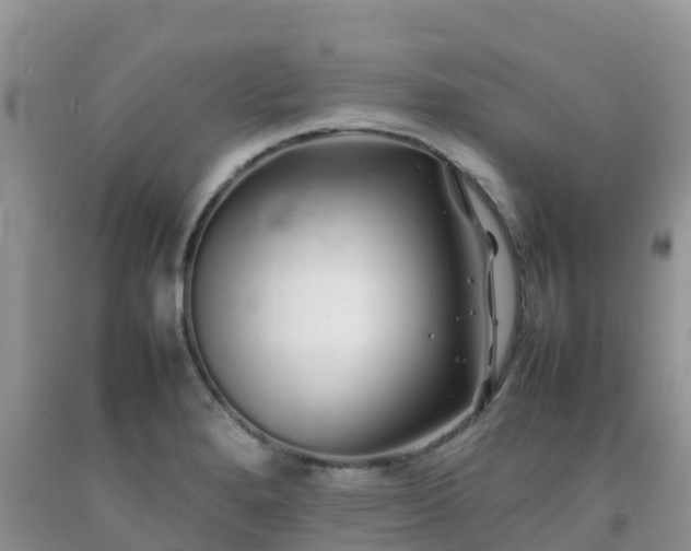 X0000092061280200709191134