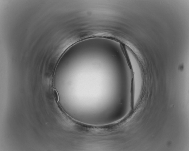 X0000092061281200709191134