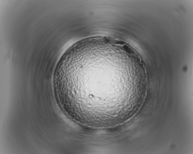 X0000092061283200709191134